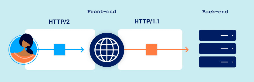 HTTP/2.0